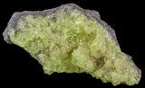 Lemon Yellow Sulfur Crystals - Bolivia #51568-2